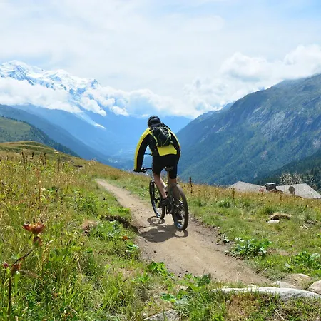 Grand Roc - Ancolies 215 - Happy * Chamonix